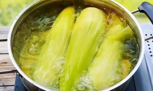 The Art of Boiling Fresh Corn Silk:How Long Does It Take?