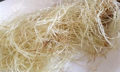 The Art of Boiling Fresh Corn Silk:How Long Does It Take?