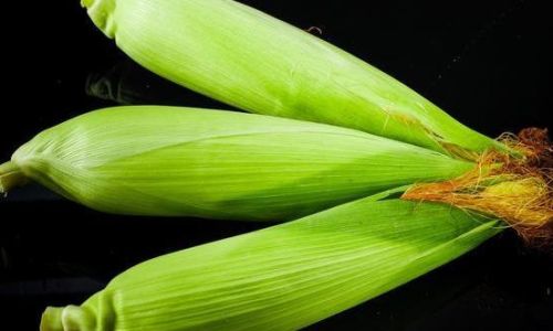 How Long Can Fresh Corn Last?A Comprehensive Guide to Preserving Its Sweetness