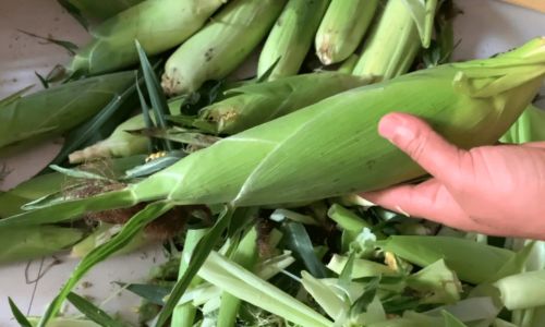 How Long Can Fresh Corn Last?A Comprehensive Guide to Preserving Its Sweetness