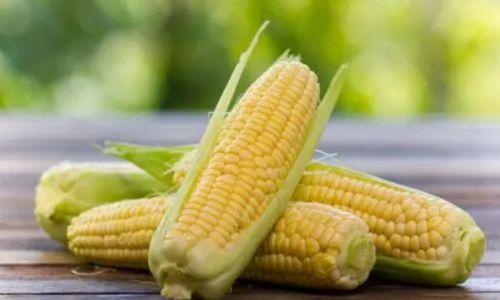 How Long Can Fresh Corn Last?A Comprehensive Guide to Preserving Its Sweetness