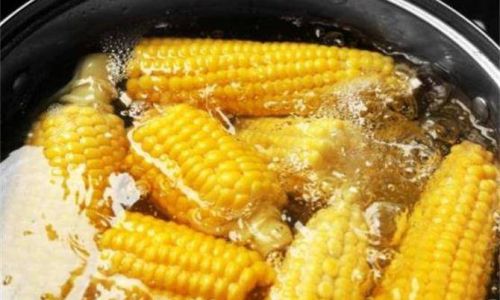 Fresh Corn:The Perfect Ingredient for a Delightful Porridge Pairing Ideas and Culinary Delights
