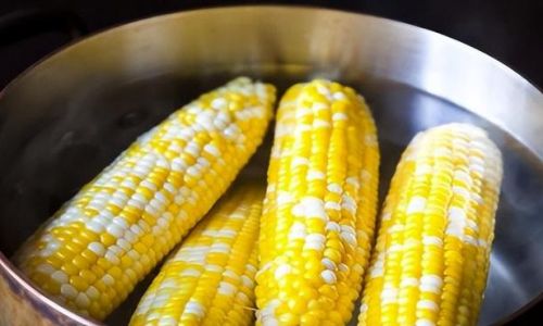 How Long Does It Take to Cook Fresh Corn on the Cob in an Enlarged Rice Cooker?