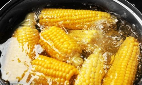 How Long Does It Take to Cook Fresh Corn on the Cob in an Enlarged Rice Cooker?