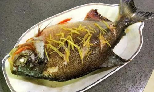 How to Cook Fresh Fish Deliciously