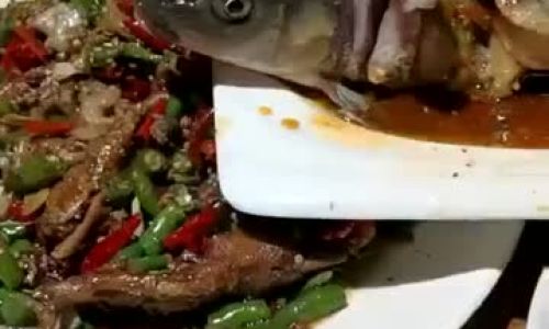 How to Cook Fresh Fish Deliciously