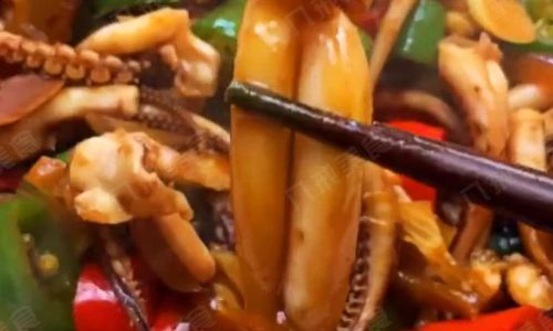 Delightful Culinary Adventures with Fresh Squid:Exploring Exquisite Recipes