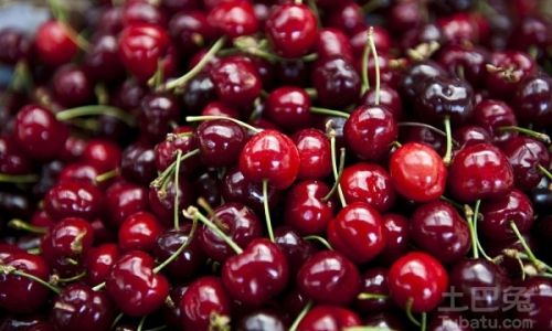 Preserving the Freshness of Cherries:Comprehensive Guide to Storage Methods