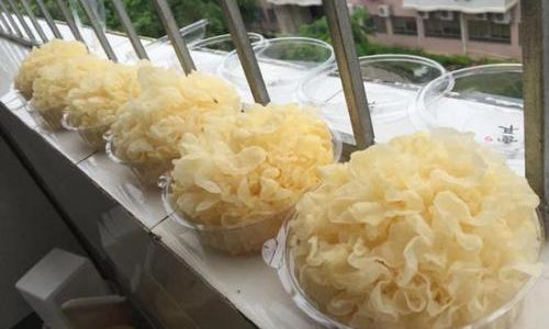 How to Cook Fresh Tremella Fuciformis Safely to Avoid Toxicity