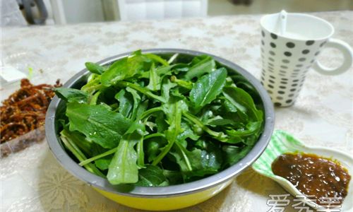 Crafting Culinary Delights with Fresh Wild Vegetables:Unlocking Their Full Flavor Potential