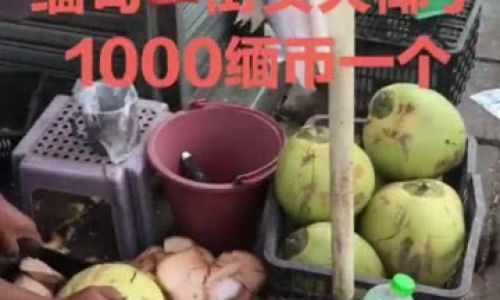 Can Fresh Coconut Meat Be Enjoyed as a Refreshing Salad?