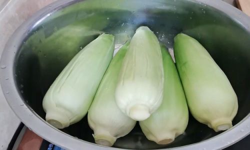 Best Preservation Methods for Fresh Coconut Meat