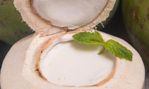 Best Preservation Methods for Fresh Coconut Meat