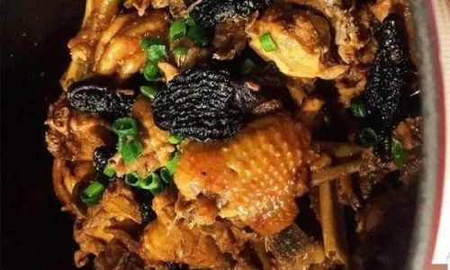 Simple yet Delicious Recipes for Fresh Morel Mushrooms