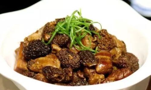 Crafting a Delicious Soup with Fresh Morel Mushrooms