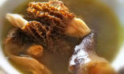 A Comprehensive Guide to Cleaning and Cooking Fresh Morel Mushrooms