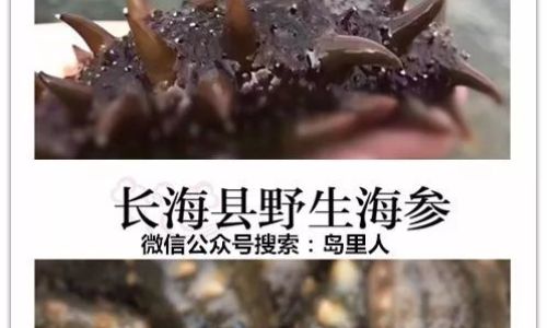 How to Properly Soak and Prepare Fresh Salt-Preserved Sea Cucumbers
