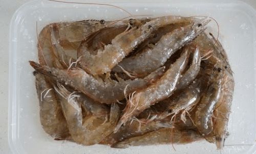 Can Fresh Duck Blood Be Stored in the Refrigerator?An In-Depth Exploration