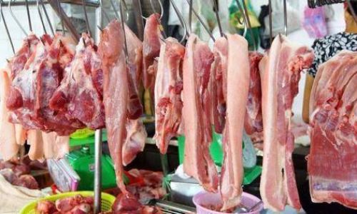 Can Fresh Duck Blood Be Stored in the Refrigerator?An In-Depth Exploration