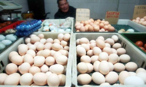Ensuring Freshness in Shipping Duck Eggs:A Comprehensive Guide to Preservation via Express Delivery