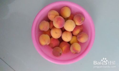 How to Make and Enjoy Fresh Apricot-Boiled Fruit Delights