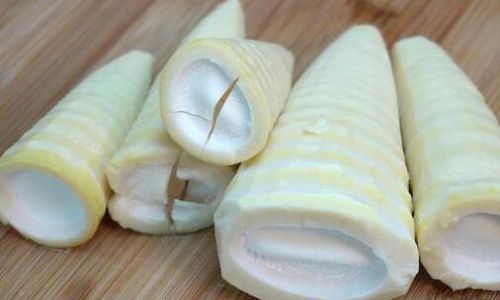 Delightful Ways to Cook Fresh Baby Bamboo Shoots