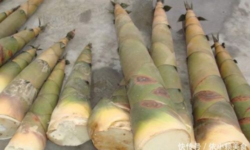 Delightful Ways to Cook Fresh Baby Bamboo Shoots