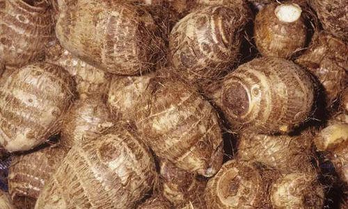 Crafting Delicious Dishes with Fresh Baby Taro:A Culinary Exploration