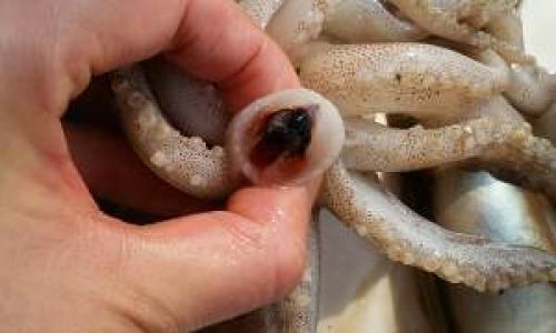 Discovering the Culinary Delights of Fresh Squid:Preparation Techniques and Recipe Ideas