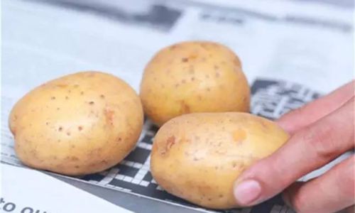 How Long Can Fresh Baby Potatoes Last?