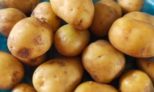 How Long Can Fresh Baby Potatoes Last?
