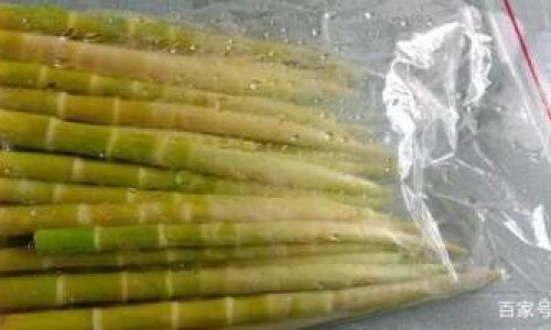 Preserving Fresh Bamboo Shoots:A Comprehensive Guide