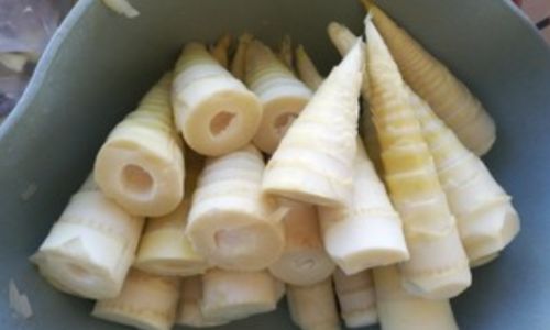Preserving Fresh Bamboo Shoots:A Comprehensive Guide