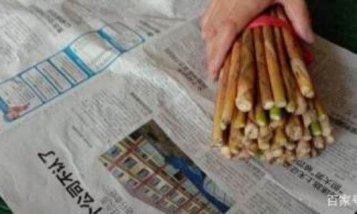 Preserving Fresh Bamboo Shoots:A Comprehensive Guide