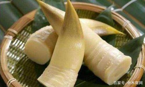 Fresh Bamboo Shoots Preservation Techniques:Keeping the Crunch and Flavor Intact