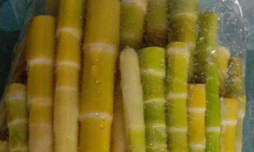 Fresh Bamboo Shoots Preservation Techniques:Keeping the Crunch and Flavor Intact