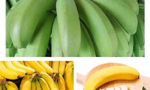 How to Effectively Preserve Fresh Bananas During Courier Delivery