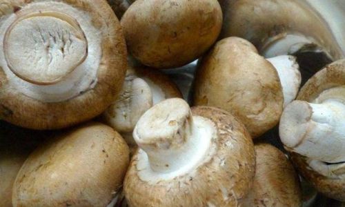 Should Fresh Shiitake Mushrooms Be Blanched?An In-Depth Culinary Exploration