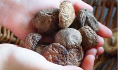 Drying Fresh Shiitake Mushrooms:A Comprehensive Guide