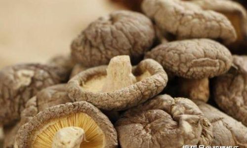 Preserving Fresh Shiitake Mushrooms:A Comprehensive Guide
