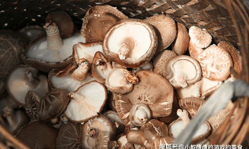 Preserving Fresh Shiitake Mushrooms:A Comprehensive Guide
