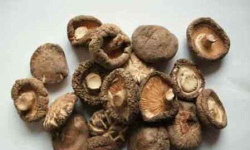 Preserving Fresh Shiitake Mushrooms:A Comprehensive Guide