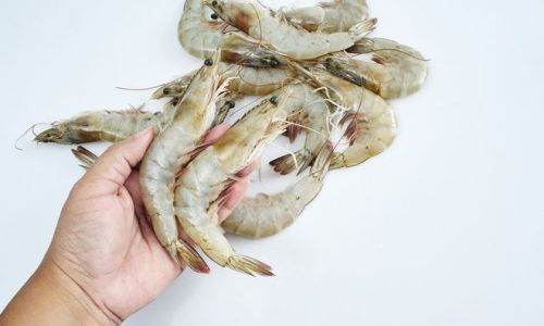 Preserving Fresh Shrimp:Essential Tips and Techniques