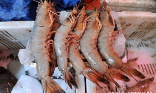 Preserving Fresh Shrimp:Essential Tips and Techniques