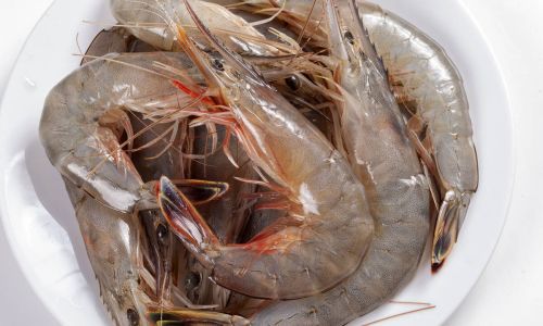 Preserving Fresh Shrimp Meat:Essential Tips and Techniques