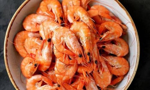 Can Fresh Shrimp Be Stored in the Refrigerator for Preservation?