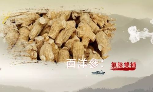 Drying Fresh American Ginseng:A Comprehensive Guide