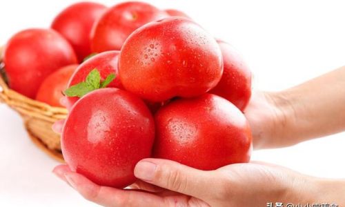 Preserving the Freshness of Tomatoes:Effective Storage Techniques