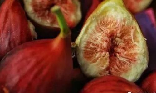 How to Make Fresh Fig-Infused Water:A Step-by-Step Guide