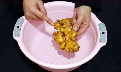 Fresh Black-Boned Chicken:Effective Methods for Room Temperature Preservation